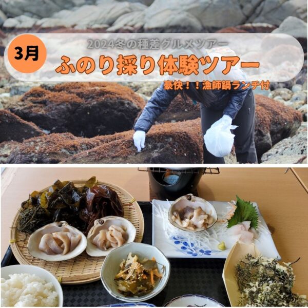 2024 Winter Tanesashi Gourmet Tour Seasonal Funori Picking Experience Tour in Umi Cafe Tanesashi